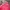 New Balance Sportswear Casual Track jacket Kids pink photo 3