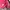 New Balance Sportswear Casual Track jacket Kids pink photo 4