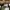 VANS Streetwear Skater Sneakers Pria white black photo 4