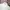 WHO.A.U Y2K Casual Windbreaker Pria white navy photo 6