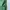 ZARA Minimalist Casual Maxi Skirt Wanita Green