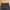 Mind Bridge Minimalist Casual Formal pants Pria black photo 5
