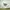 Umbro Gorpcore Sportswear Jersey Pria white black photo 5