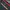 Adidas Sportswear Jersey Pria red black photo 7