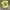 Vintage Streetwear T-shirt Pria yellow photo 2