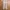 Minimalist Casual Formal pants Pria tan cream photo 1
