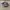 Nike Casual Sneakers Pria white brown photo 1