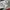 Converse Casual Track jacket Pria white photo 7