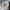 Converse Casual Track jacket Pria white photo 4
