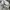 Converse Casual Track jacket Pria white photo 6