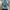 Levi's Vintage Streetwear Denim jacket Pria blue photo 8
