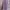 Minimalist Casual Skirt Wanita purple photo 5