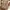 Teenie Weenie Vintage Casual Backpack Wanita tan brown photo 1
