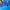 Columbia Sportswear Windbreaker Pria blue photo 3