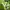 Cosplay Hat Pria green yellow photo 3