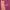 Gorpcore Track jacket Pria burgundy red photo 4