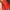 Love Bonito Casual Cami top Wanita red photo 2