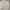 Love Bonito Casual Cami top Wanita white gray photo 6