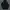 The North Face Streetwear Hoody Pria navy photo 1