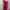 Shein Minimalist Summer dress Wanita pink photo 4