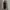 Shein Luxury Going out dress Wanita black photo 6