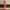 Shein Luxury Bodycon dress Wanita pink photo 1