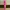 Shein Luxury Bodycon Dress Wanita Pink