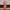 Shein Luxury Bodycon dress Wanita pink photo 3