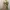 Shein Minimalist Summer dress Wanita multicolor photo 6
