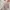 Shein Minimalist Summer dress Wanita multicolor photo 1