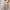 Shein Minimalist Summer Dress Wanita Multicolor