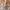 Shein Minimalist Summer dress Wanita multicolor photo 4