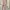 Shein Minimalist Summer dress Wanita multicolor photo 5