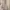 Shein Minimalist Summer dress Wanita multicolor photo 2