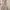 Shein Minimalist Summer Dress Wanita Multicolor