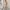 Shein Minimalist Summer dress Wanita multicolor photo 3