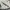 Adidas Casual Sweatshirt Pria white photo 2