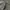 Windbreaker Pria gray photo 6