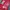 Puma Streetwear Sportswear Sneakers Pria red black photo 8