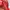 Puma Streetwear Sportswear Sneakers Pria red black photo 2