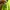 Nike Casual Sneakers Wanita green photo 6