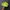 Nike Casual Sneakers Wanita green photo 3