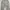 Pancoat Casual Sweatpants & Joggers Pria gray photo 3