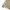Hush Puppies Casual Polo shirt Pria khaki photo 2