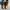 Dickies Streetwear Boots Pria brown photo 1