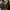 Dickies Streetwear Boots Pria brown photo 2