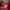 Vintage T-shirt Pria red photo 5