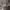 Carhartt Streetwear Casual Hoody Pria gray photo 3