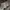 Carhartt Streetwear Casual Hoody Pria gray photo 6