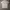 Streetwear T-shirt Pria gray photo 2
